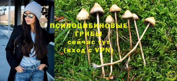 стафф Балабаново