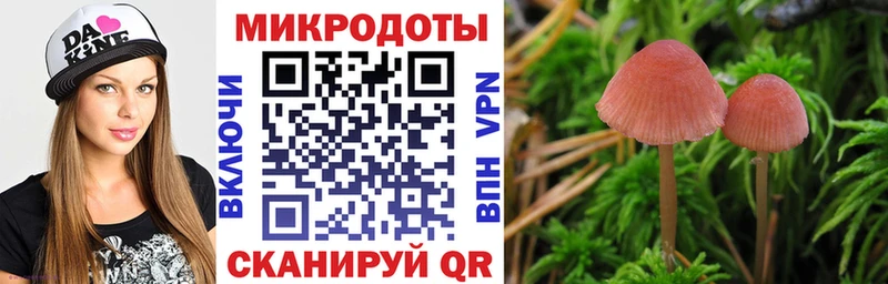 Псилоцибиновые грибы прущие грибы  Нязепетровск 